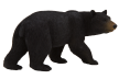 Mojo Animal Planet Medvěd baribal