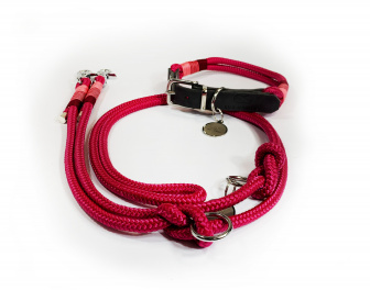 RASPBERRY SET (přepínací vodítko - 2 m + obojek)
