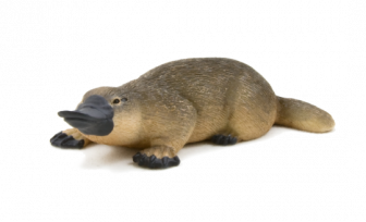 Mojo Animal Planet Ptakopysk podivný