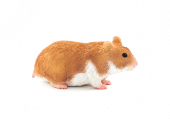 Mojo Animal Planet Křeček